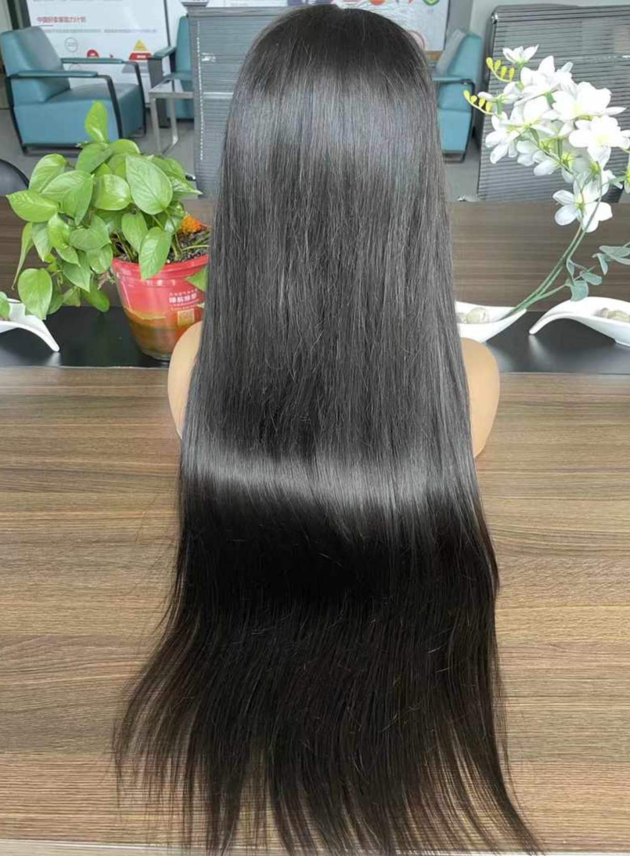 Straight 13x6 Transparent Lace Front Wigs