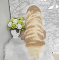 613 Bodywave 13X4 Transparent Lace Front Wig